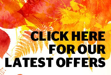 Special Offers