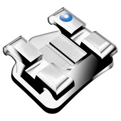 Verve Bracket Individuals Verve Bracket Individuals