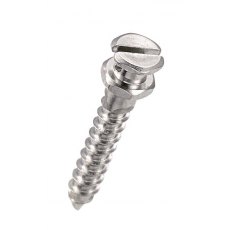 Slot Screw