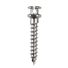 Slot Screw