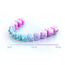 Bio-Active Light Bio-Active Light