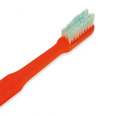 Ortho ReadyBrush