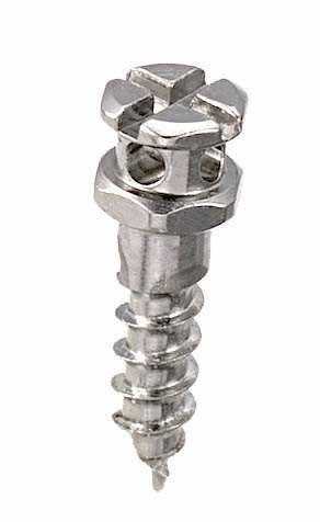 Cross Hole Screw