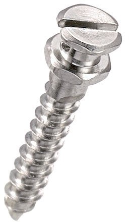 Slot Screw