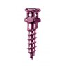 Cross Hole Screw