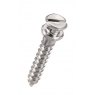 Slot Screw