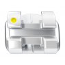 Legend Mini Rhodium Aesthetic Bracket Individuals