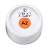 Perfect-A-Smile Pontic Paint