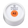 Reliance Perfect-A-Smile Pontic Paint